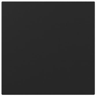 Gira 3496005 Wippe Schwarz matt