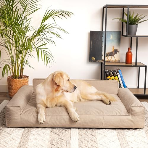 PillowPrim Hundebett, Haustiermatratze, Katzenbett, Hundekissen, Hundekorb, Hundesofa, Liegeplatz für Hund, Orthopädische, Asche, 55 cm, Beige, 98x66 cm