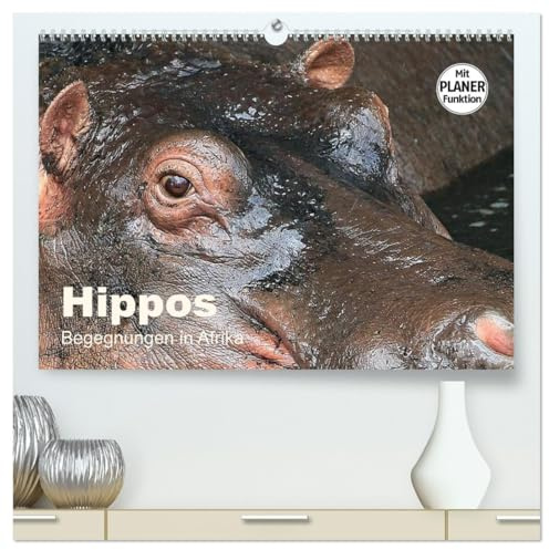 Hippos - Begegnungen in Afrika (hochwertiger Premium Wandkalender 2026 DIN A2 quer), Kunstdruck in Hochglanz: Wundervolle Bilder aus der Welt der Flusspferde (CALVENDO Tiere)