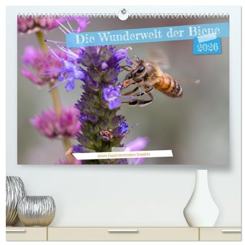 Die Wunderwelt der Biene (hochwertiger Premium Wandkalender 2026 DIN A2 quer), Kunstdruck in Hochglanz: Makrofotografien von Bienen beim Blütenbesuch (CALVENDO Tiere)