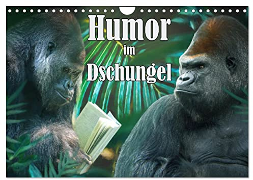 Humor im Dschungel (Wandkalender 2026 DIN A4 quer), CALVENDO Monatskalender: Dschungeltiere in lustigen Bildern (CALVENDO Spass)