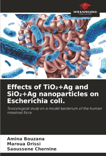 Effects of TiO₂+Ag and SiO₂+Ag nanoparticles on Escherichia coli.: Toxicological study on a model bacterium of the human intestinal flora