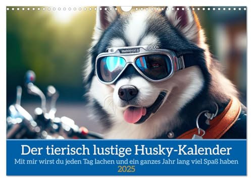 Der tierisch lustige Husky Kalender (Wandkalender 2025 DIN A3 quer), CALVENDO Monatskalender
