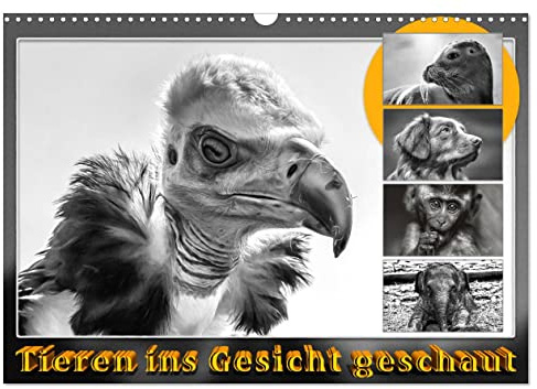 Tieren ins Gesicht geschaut (Wandkalender 2026 DIN A3 quer), CALVENDO Monatskalender: Eindrucksvolle Tierporträts, umgesetzt als schwarz/weiß Foto, reduziert auf das Wesentliche. (CALVENDO Tiere)