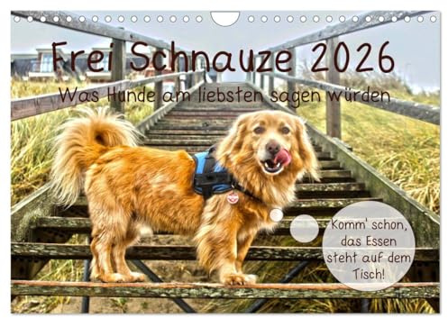 Frei Schnauze 2026. Was Hunde am liebsten sagen würden (Wandkalender 2026 DIN A4 quer), CALVENDO Monatskalender: 12 witzige Aussagen, Hunden in die Schnauze gelegt! (CALVENDO Tiere)