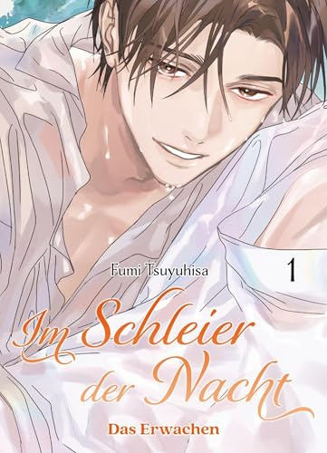 Im Schleier der Nacht: Das Erwachen 01 (Im Schleier der Nacht 03): Das Sequel des spannenden Mystery-BLs