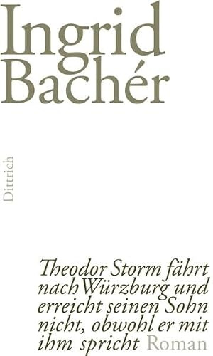 Theodor Storm fährt nach Würzburg und erreicht seinen Sohn nicht, obwohl er mit ihm spricht: Roman