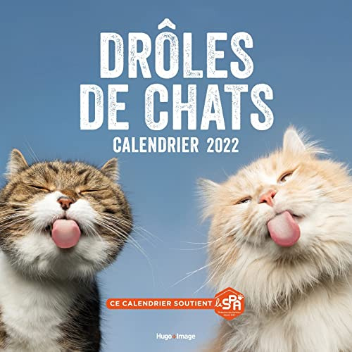 Calendrier Mural drôles de chat 2022