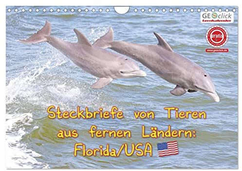 GEOclick Lernkalender: Steckbriefe von Tieren aus fernen Ländern: Florida/USA (Wandkalender 2025 DIN A4 quer), CALVENDO Monatskalender