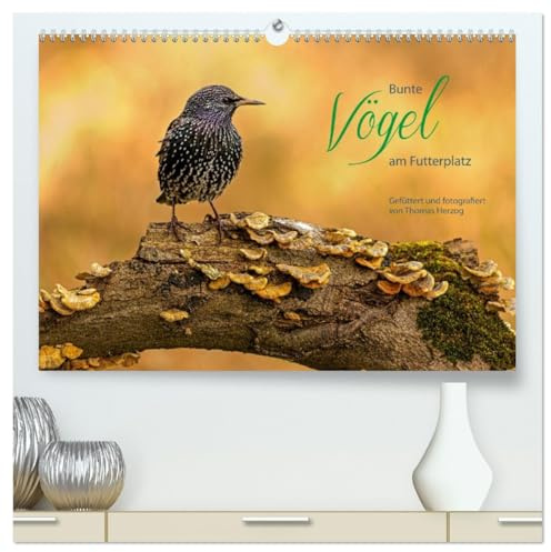 Bunte Vögel am Futterplatz (hochwertiger Premium Wandkalender 2026 DIN A2 quer), Kunstdruck in Hochglanz: Singvögel an der Futterstelle (CALVENDO Tiere)