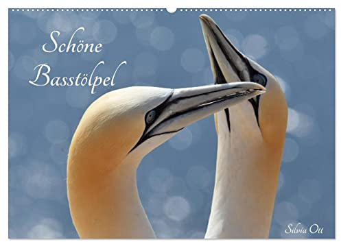 Schöne Basstölpel (Wandkalender 2026 DIN A2 quer), CALVENDO Monatskalender: Wunderbare Aufnahmen des Basstölpels (CALVENDO Tiere)