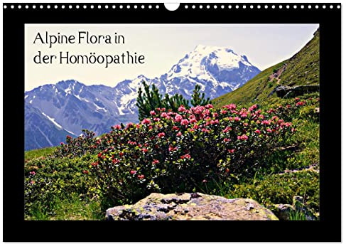 Alpine Flora in der Homöopathie (Wandkalender 2026 DIN A3 quer), CALVENDO Monatskalender: Die Flora der Hochalpen unter dem Aspekt der Homöopathie (CALVENDO Natur)