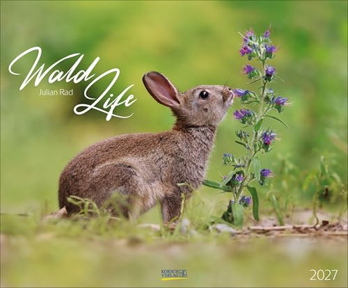 WaldLife 2027: Großer Wandkalender mit poetischen Aufnahmen einheimischer Wald- und Wildtiere. Querformat: 55 x 45,5 cm