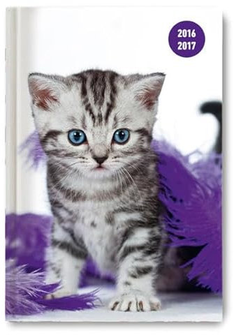 Collegetimer Pocket Cat 2016/2017 - Schülerkalender A6 - Day By Day - 352 Seiten: Terminkalender. Kalendarium mit 1 Tag pro Seite
