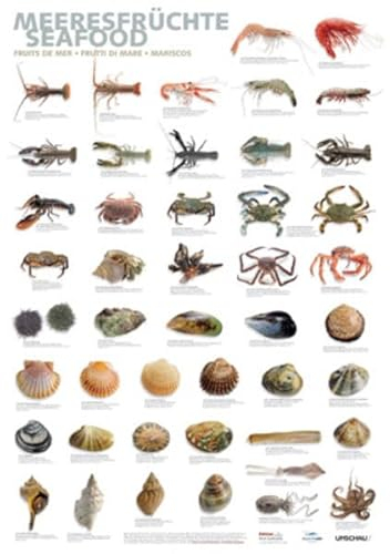 Poster Meeresfrüchte DIN A1