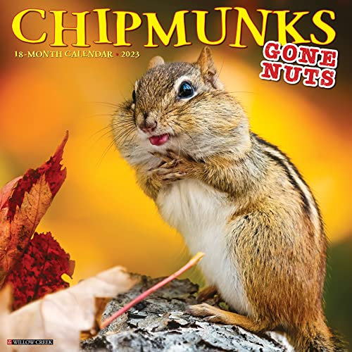 Chipmunks Gone Nuts! 2023 Wall Calendar