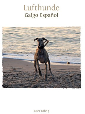 Lufthunde: Galgo Español