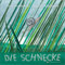 Die Schnecke und der Weihnachtsstern