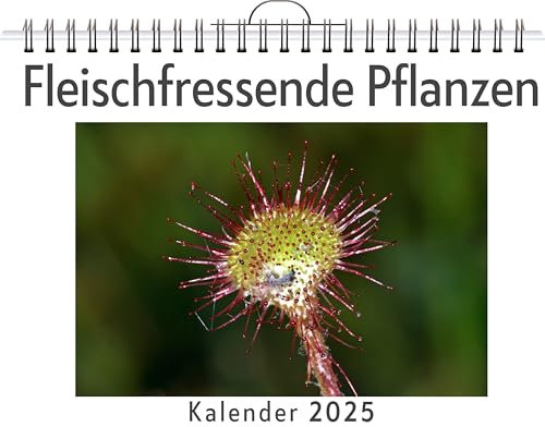 Fleischfressende Pflanzen - (Wandkalender 2025, Kalender DIN A4 quer, Monatskalender im Querformat mit Kalendarium, das perfekte Geschenk)