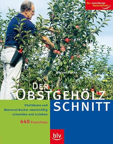 Der Obstgehölzschnitt: Obstbäume und Beerensträucher zweckmässig schneiden und erziehen. Stopper: 440 Praxis-Fotos. Der zuverlässige Gartenberater