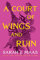 A Court of Wings and Ruin (A Court of Thorns and Roses, Band 3)