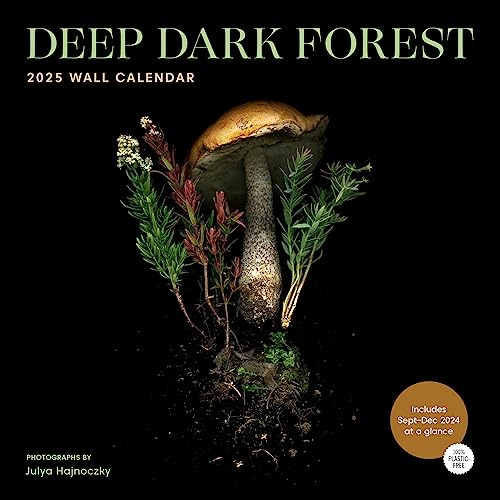 Deep Dark Forest 2025 Wall Calendar