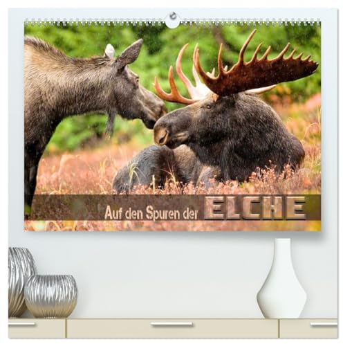 Auf den Spuren der Elche (hochwertiger Premium Wandkalender 2026 DIN A2 quer), Kunstdruck in Hochglanz: Beeindruckende Bilder wildlebender Elche verschiedener Territorien (CALVENDO Tiere)