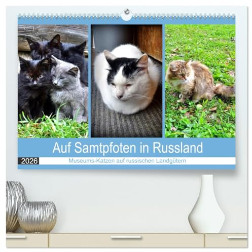 Auf Samtpfoten in Russland - Museums-Katzen auf russischen Landgütern (hochwertiger Premium Wandkalender 2026 DIN A2 quer), Kunstdruck in Hochglanz: ... russischer Dichter (CALVENDO Tiere)