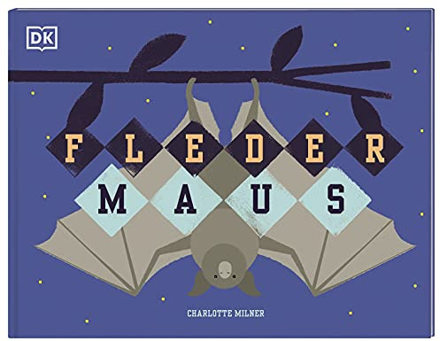 Fledermaus: Mit farbenprächtigen Illustrationen für Kinder ab 5 Jahren