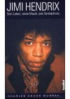 Purple Haze. Jimi Hendrix: Die Legende der Rockmusik