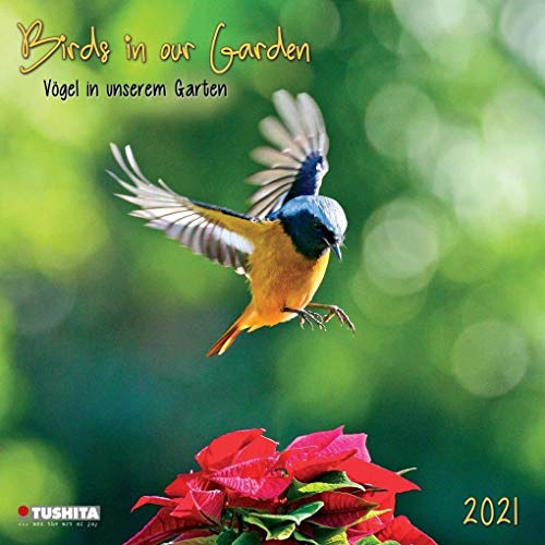 Birds in our Garden 2021: Kalender 2021 (Wonderful World)