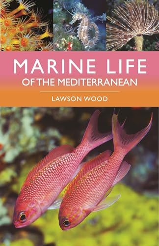 Marine Life of the Mediterranean (Bloomsbury Naturalist)