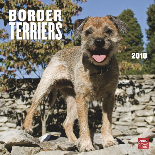 Border Terriers 2010