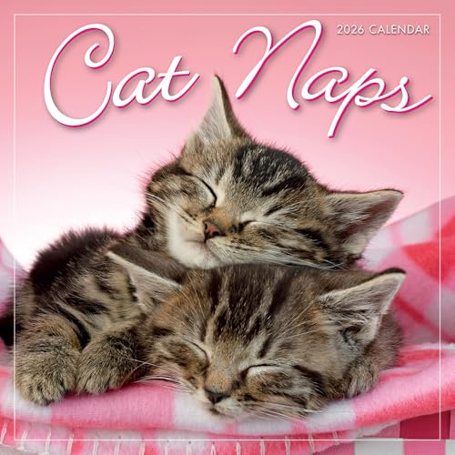 2026 Cat Naps Mini-Kalender
