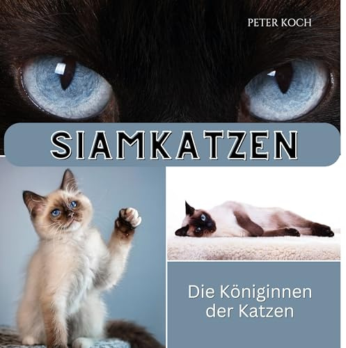 Siamkatzen: Die Königinnen der Katzen