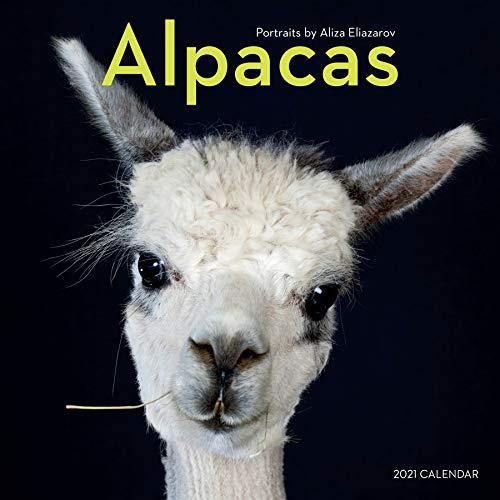 Alpacas 2021 Calendar