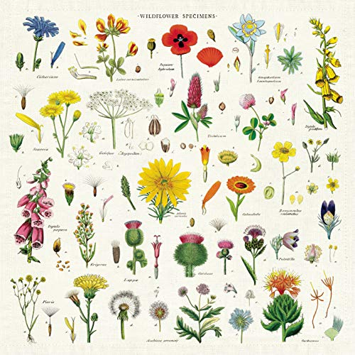 Cavallini & Co. Servietten, Vintage-Stil, Wildblumen, 4 Stück