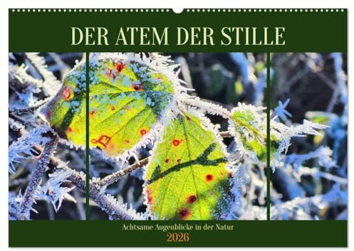 Der Atem der Stille - Achtsame Augenblicke in der Natur (Wandkalender 2026 DIN A2 quer), CALVENDO Monatskalender: Achtsamkeit in Bildern - Ein Kalender, der die Seele berührt (CALVENDO Gesundheit)