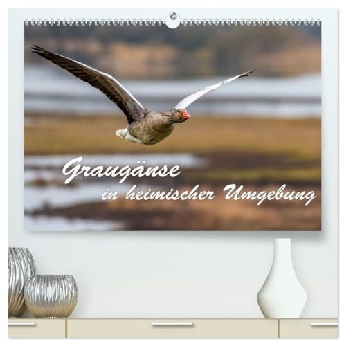Graugänse in heimischer Umgebung (hochwertiger Premium Wandkalender 2026 DIN A2 quer), Kunstdruck in Hochglanz: Wunderschöne Aufnahmen der häufigsten Wildgans in unserem Land (CALVENDO Tiere)
