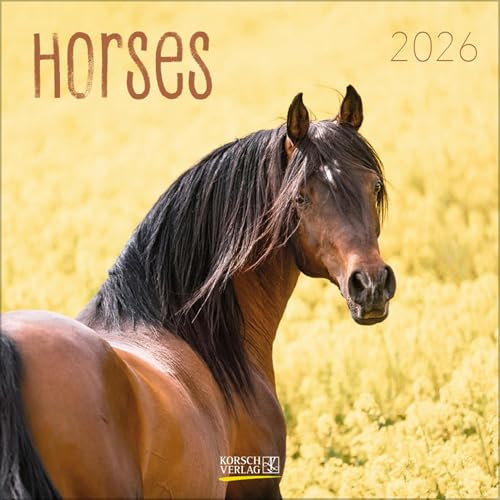 Horses 2026: Broschürenkalender mit Ferienterminen. Pferde und Ponys. 30 x 30 cm