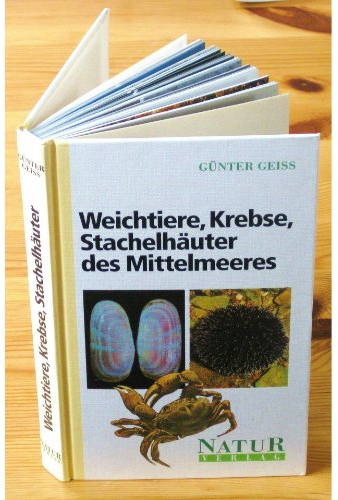 Weichtiere, Krebse, Stachelhäuter des Mittelmeeres