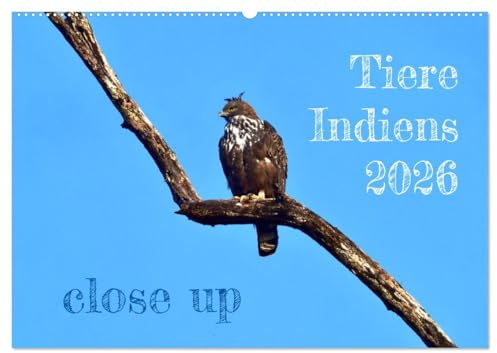 Tiere Indiens close up (Wandkalender 2026 DIN A2 quer), CALVENDO Monatskalender: Auge in Auge mit Wildtieren Indiens (CALVENDO Tiere)