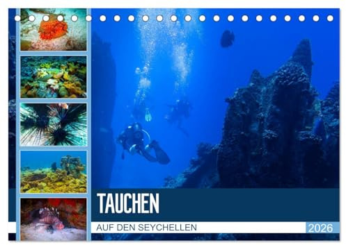 Tauchen auf den Sychellen (Tischkalender 2026 DIN A5 quer), CALVENDO Monatskalender: Faszination Unterwasserwelt (CALVENDO Orte)