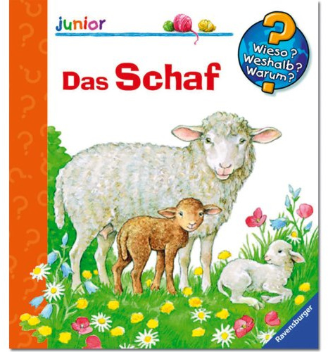 Das Schaf (Wieso? Weshalb? Warum? junior, Band 29)
