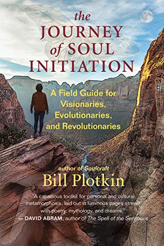 The Journey of Soul Initiation: A Field Guide for Visionaries, Revolutionaries, and Evolutionaries: A Field Guide for Visionaries, Evolutionaries, and Revolutionaries