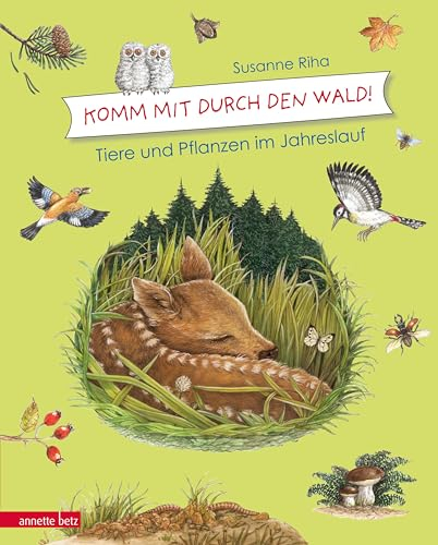 Komm mit durch den Wald: Tiere und Pflanzen im Jahreslauf