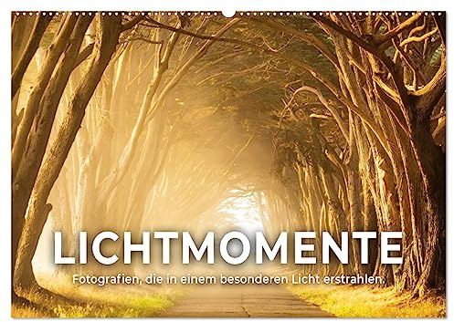 Lichtmomente - Fotografien, die in einem besonderen Licht erstrahlen. (Wandkalender 2026 DIN A2 quer), CALVENDO Monatskalender: Momente, die in einem besonderen Licht erscheinen. (CALVENDO Orte)