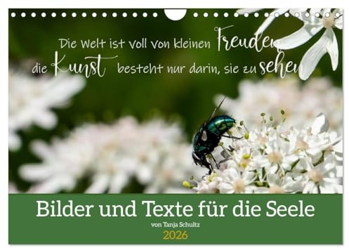 Bilder und Texte für die Seele (Wandkalender 2026 DIN A4 quer), CALVENDO Monatskalender: Wunderschöne Bilder mit Sinnsprüchen für die Seele (CALVENDO Orte)