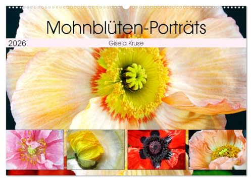 Mohnblüten-Porträts (Wandkalender 2026 DIN A2 quer), CALVENDO Monatskalender: Mohnblumen - interessant und ausdrucksstark (CALVENDO Natur)