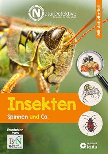 Insekten, Spinnen und Co.: Mit Activity-Teil (Naturdetektive: Wissen und Beschäftigung für kleine Naturforscher ab 6 Jahren)